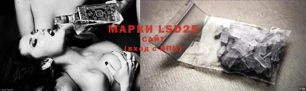 ГАЛЛЮЦИНОГЕННЫЕ ГРИБЫ Пестово